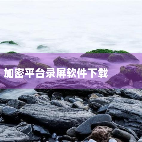 【获取软件】打开百度网站，输入“EasyCam”搜索，可以看到百度搜索返回不少关于EasyCam（桌面录象精灵）的记录，找到合适的链接打开，下载软件。笔者搜索下载的是绿色免安装版，如下图：如何录制电脑,小蓝视频