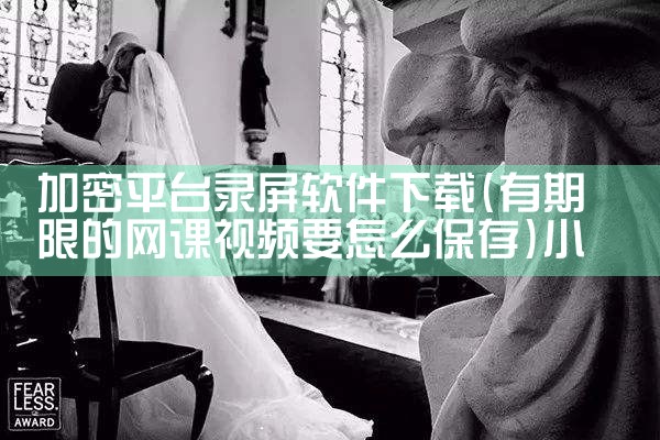 加密平台录屏软件下载|小蓝视频