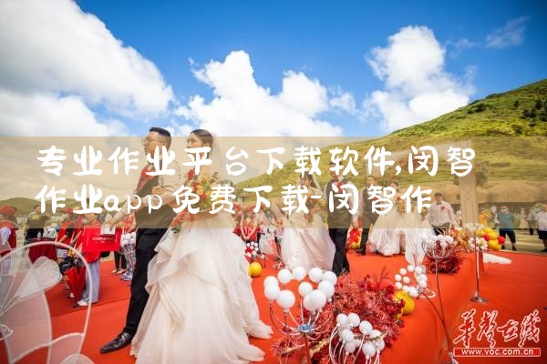 专业作业平台下载软件|小蓝视频